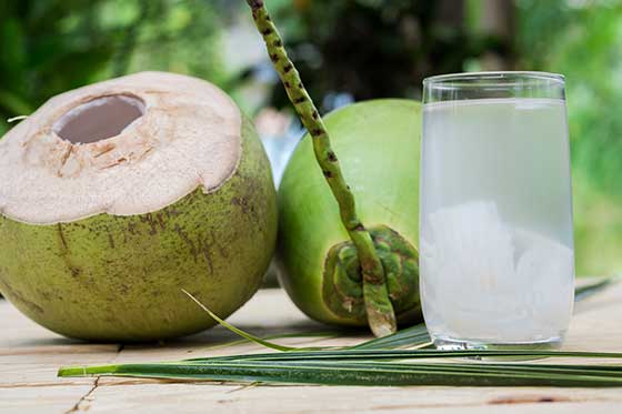 Coconut water La Maison du coco product by Samurai Oasis