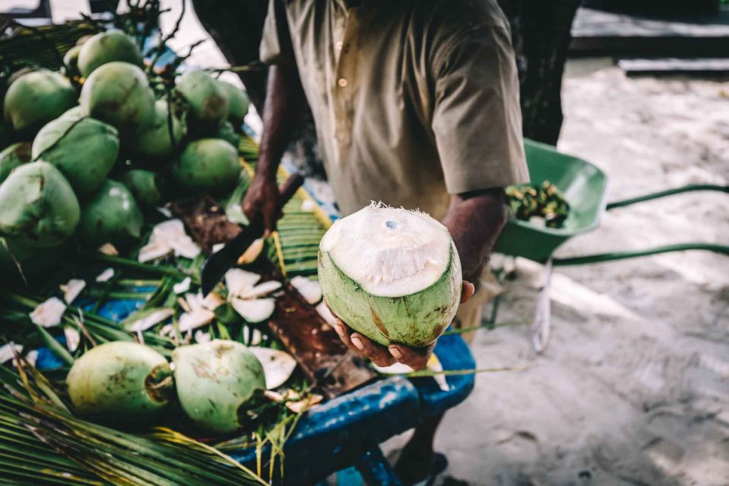 Coconut water manufacturing La Maison du coco product by Michal collection